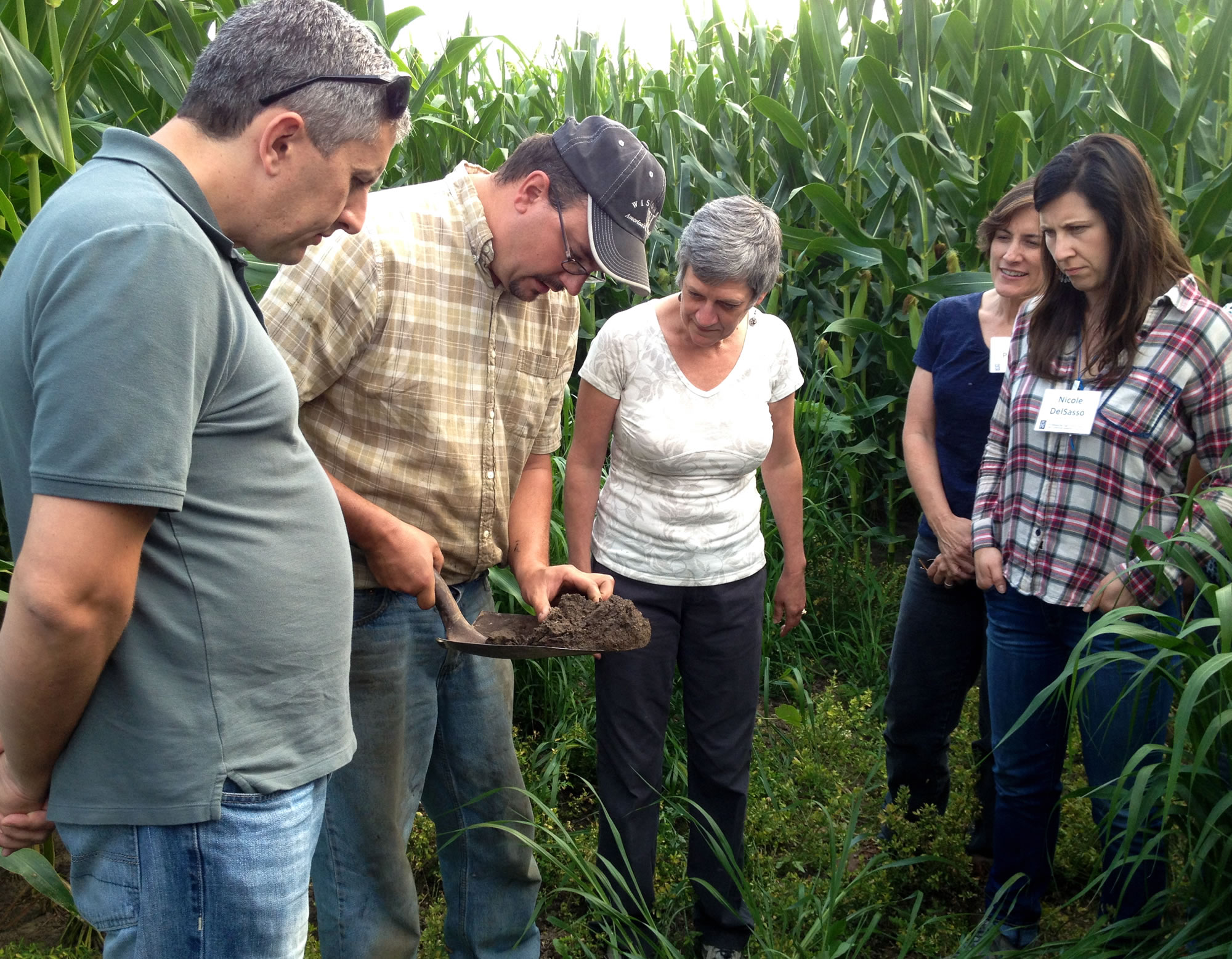 Food System Education