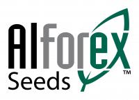 Alforex Seeds Logo