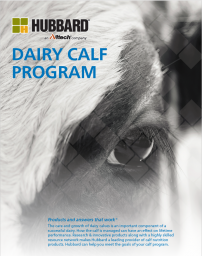 Hubbard Dairy Calf Program