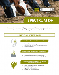 Hubbard Spectrum DH