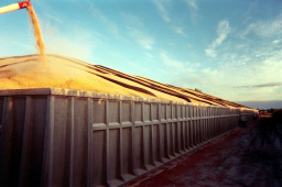 Grain Storage by Wieser Concrete