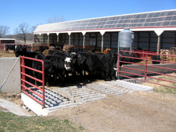 Cattle Guard and Water Tank by Wieser Concrete