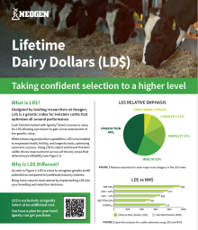 Lifetime Dairy Dollars for Holstein