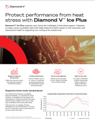 Diamond V Ice Plus